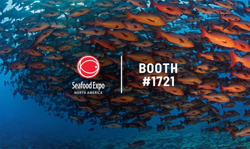 BSF at SENA 2026, Booth #1721