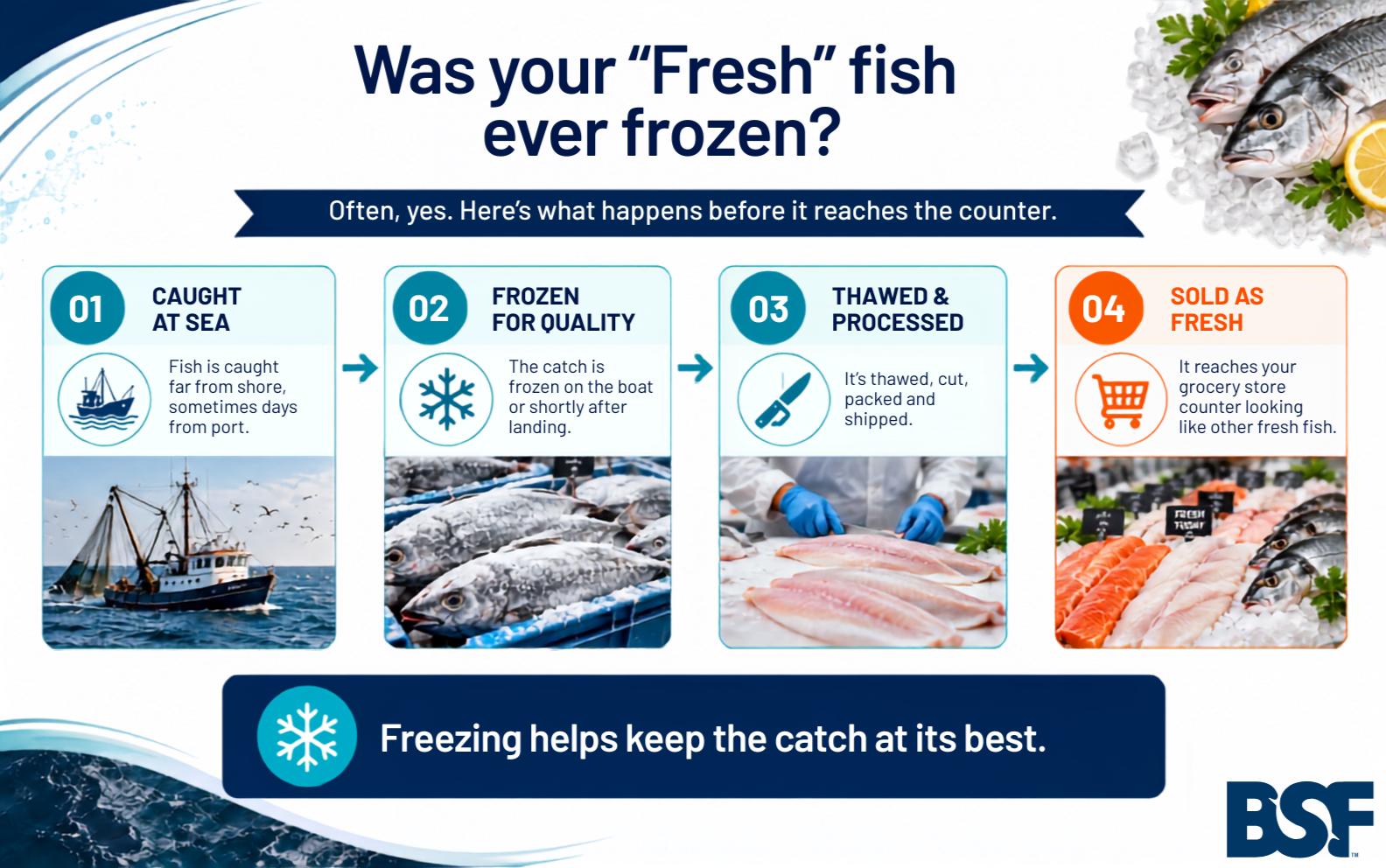 Infographic by BSF to explain if your fresh fish is ever frozen to preserve quality